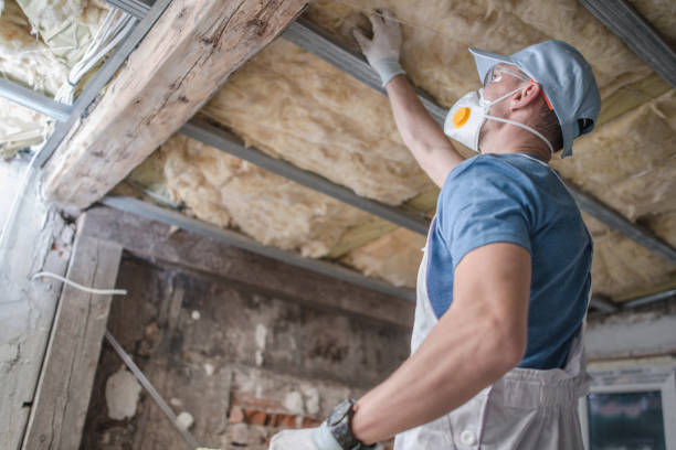 Best Types of Insulation in Watts Mills, SC